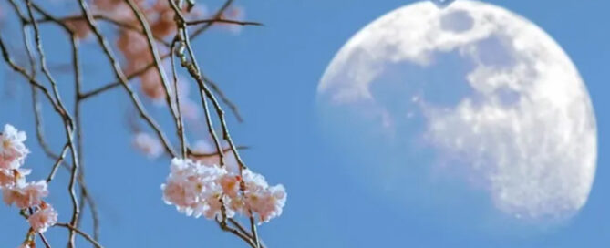 How Your Home Can Evolve with Life’s Changing Seasons