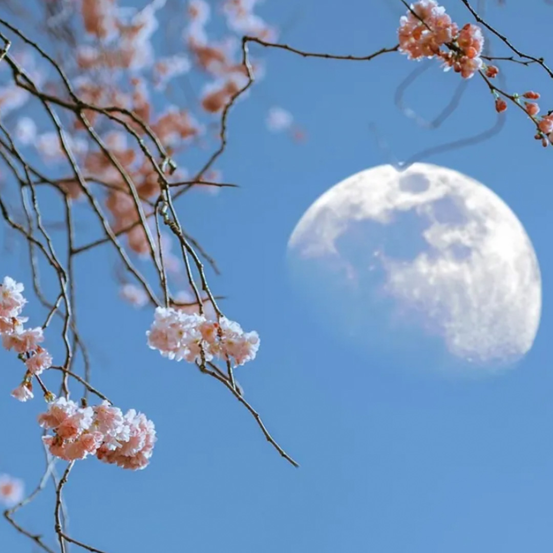 How Your Home Can Evolve with Life’s Changing Seasons